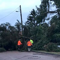 Avis de tempête sur Bois-le-Roi Avis de tempête sur Bois-le-Roi